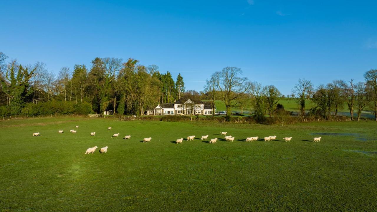 Plas Y Dderwen Bed And Breakfast Aberystwyth Buitenkant foto