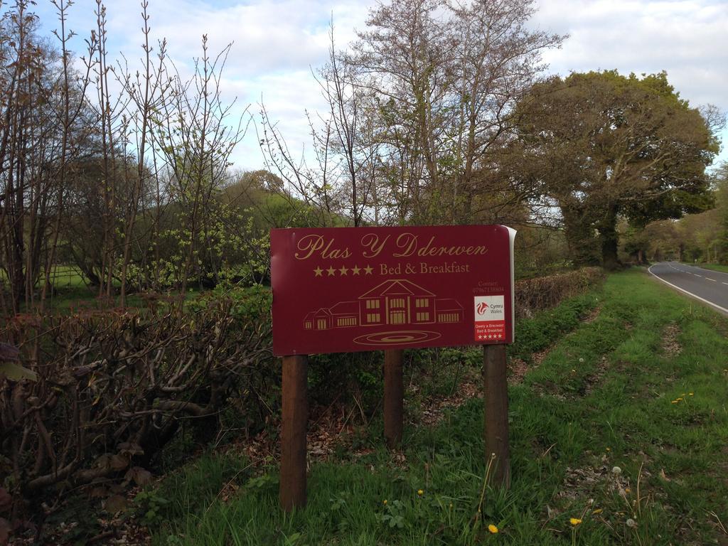 Plas Y Dderwen Bed And Breakfast Aberystwyth Buitenkant foto