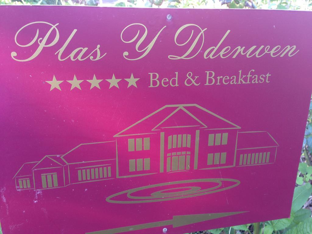 Plas Y Dderwen Bed And Breakfast Aberystwyth Buitenkant foto